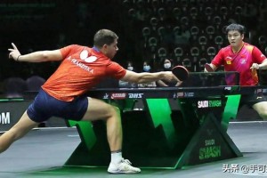 樊振东加盟德甲牵线人曝光，德国驻华大使馆送贺电！