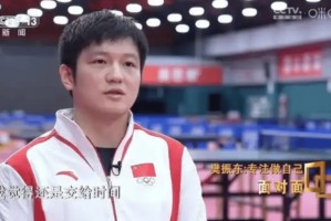 樊振东加盟德甲联赛意在洛杉矶奥运会？资深业内人士：这个可以有